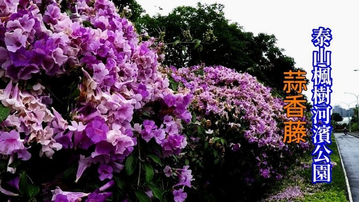 套花呗收多少手续费