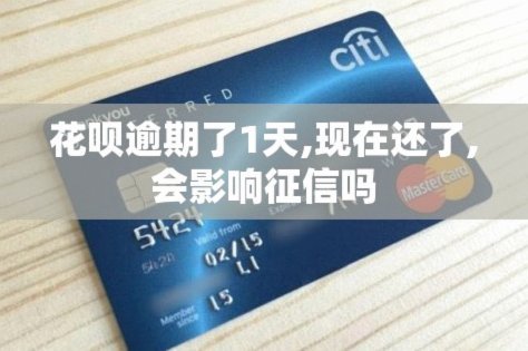 花呗出现逾期怎么办？深度剖析成因与信用维护建议